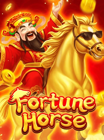 Live bingo hall game cover